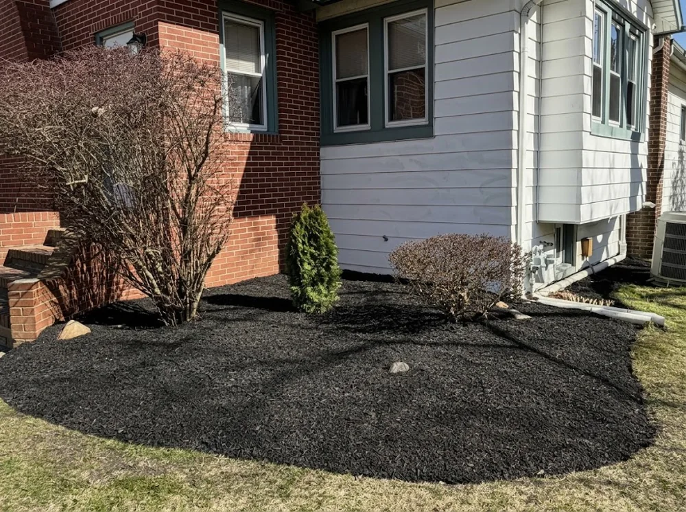Fresh mulch around the front entry